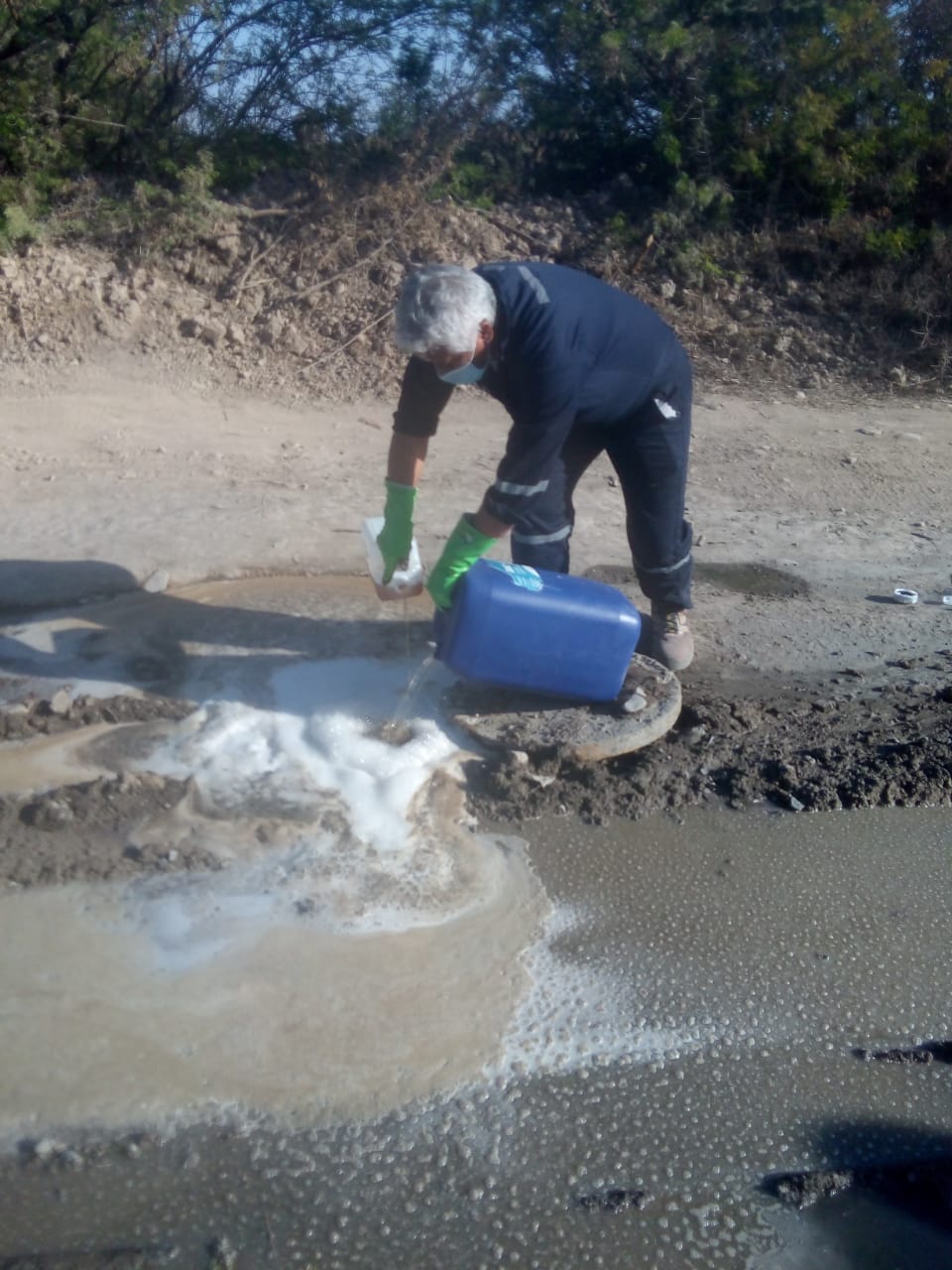Proyecto Ecofriendly 10