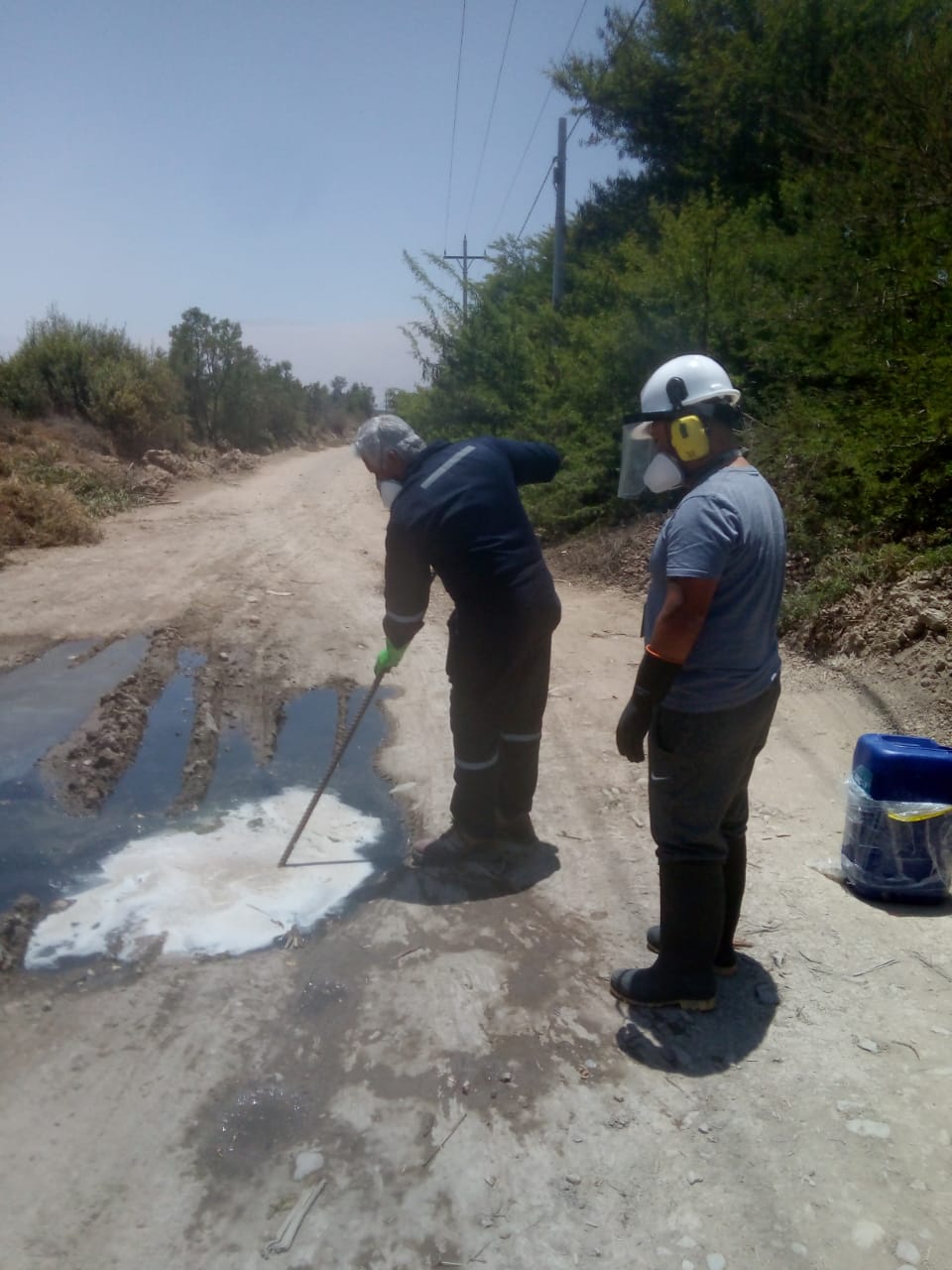 Proyecto Ecofriendly 16