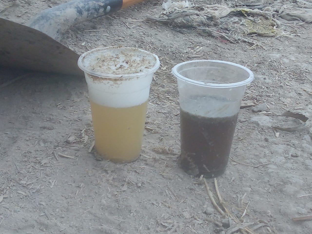 Proyecto Ecofriendly 7